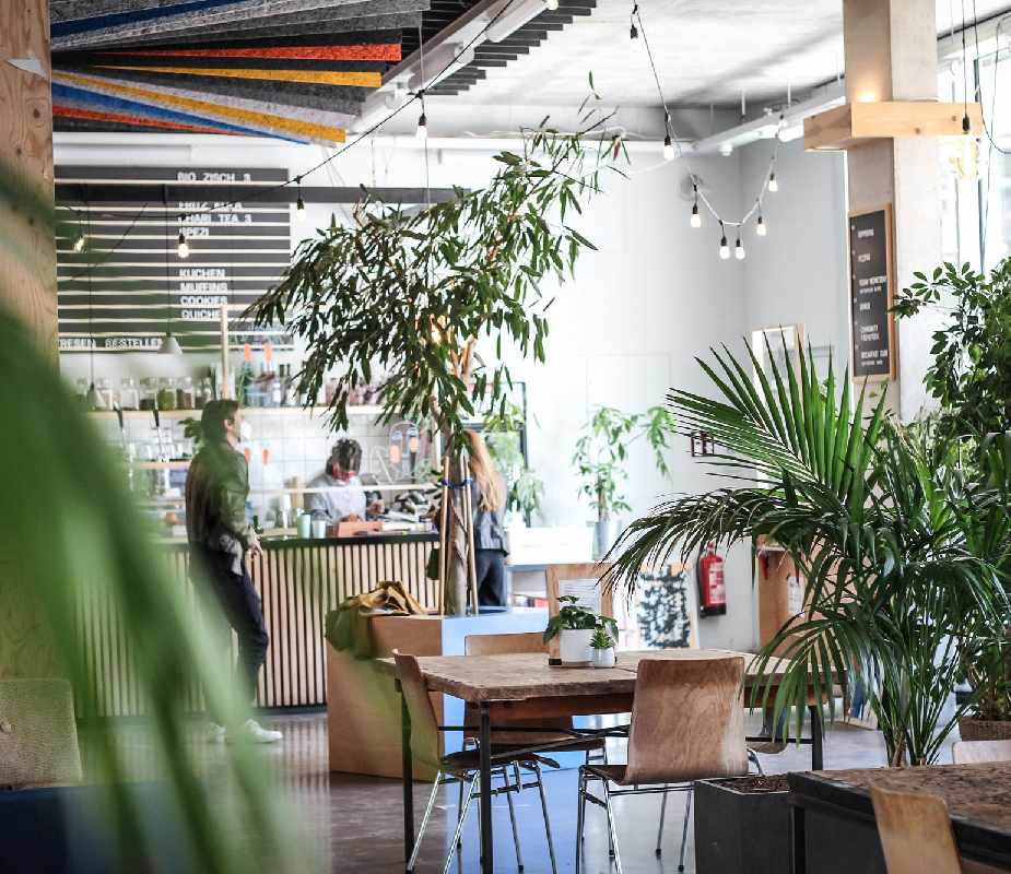 Vegan frühstücken bei Cafve