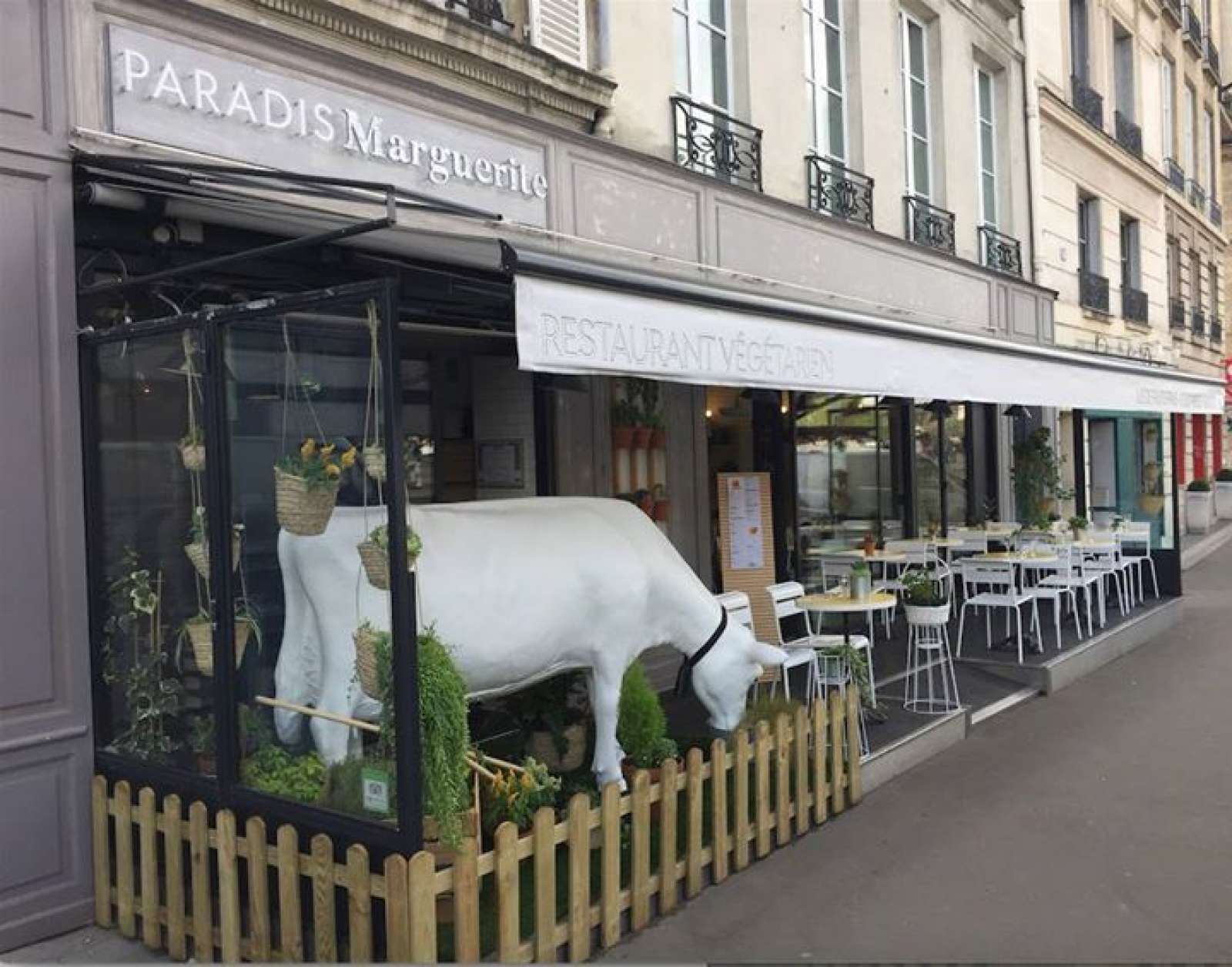 Paradis Marguerite