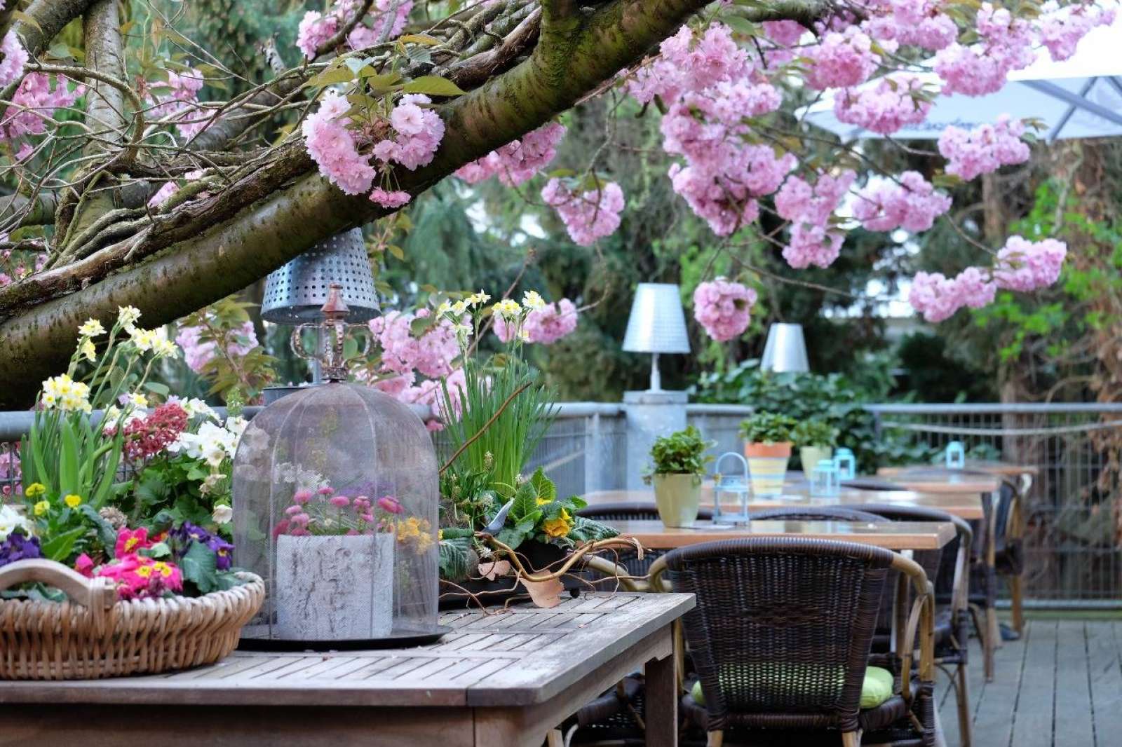 Frenzen Restaurant & Event e.K.