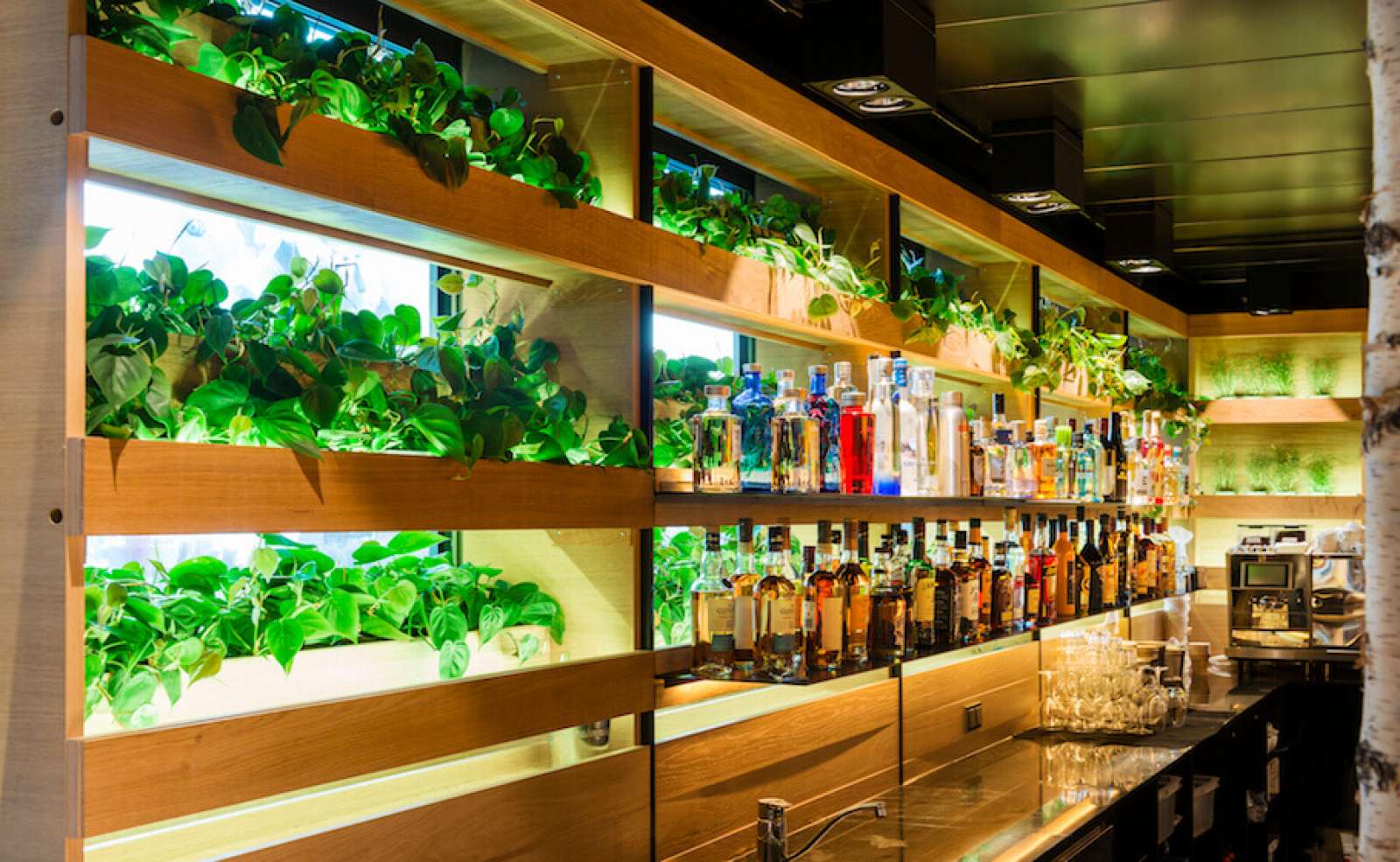 Hans im Glück in Heidelberg