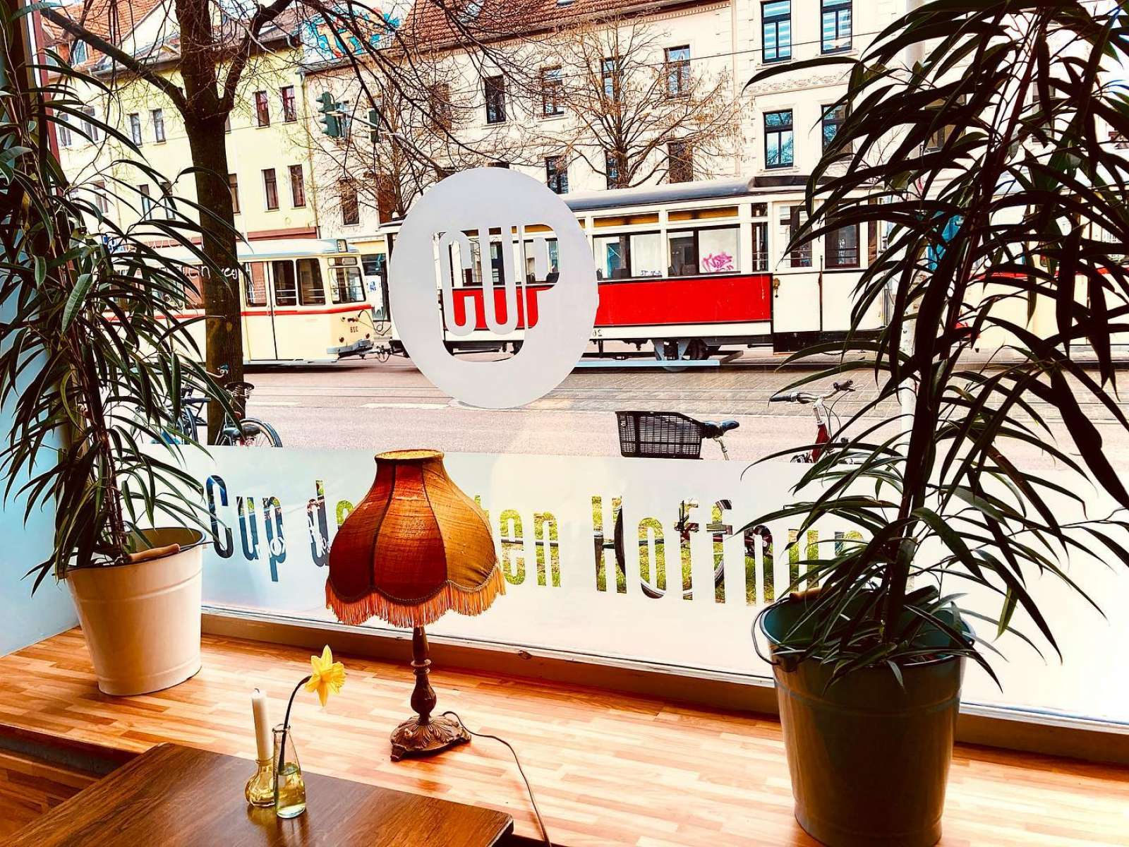 Cup der guten Hoffnung