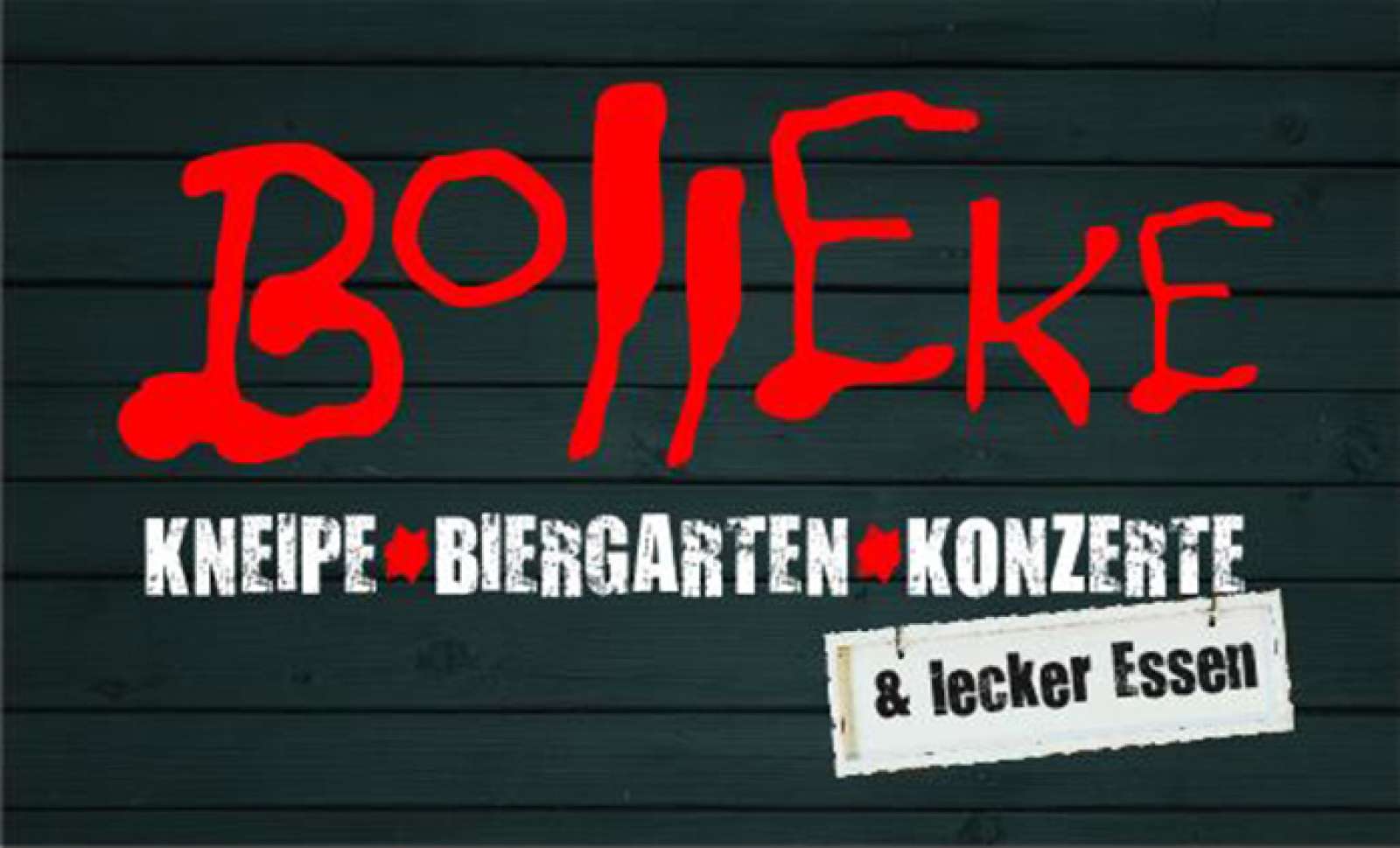 Bolleke